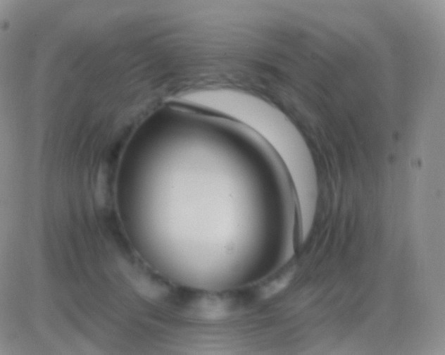 X0000083060416200702232026