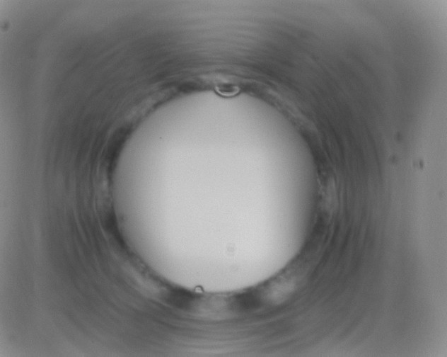 X0000083060418200702232026