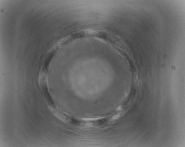 X0000083060419200702232026