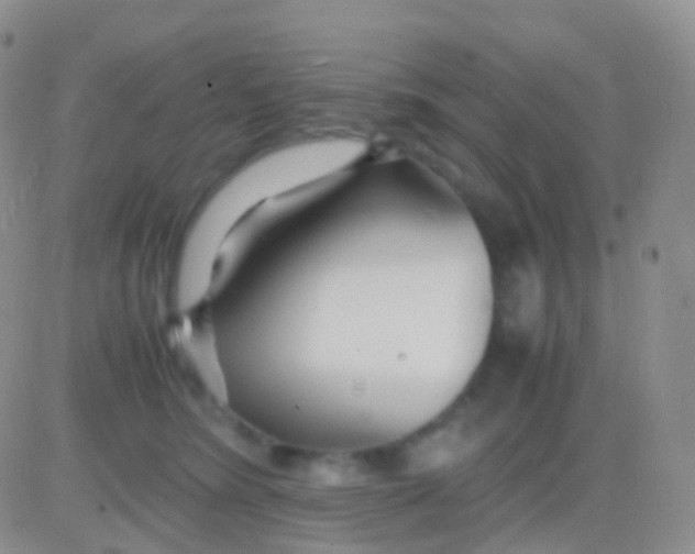 X0000083060420200702232026