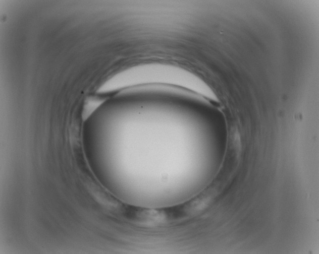 X0000083060421200702232026