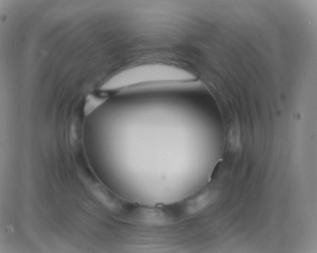 X0000083060424200702232026