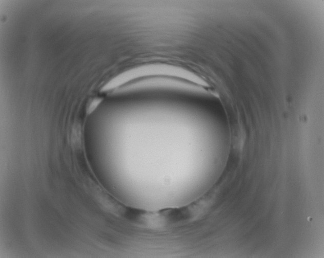 X0000083060425200702232026