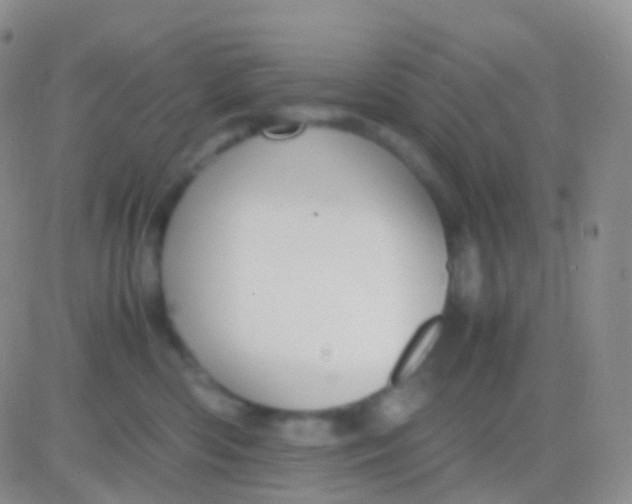 X0000083060426200702232026