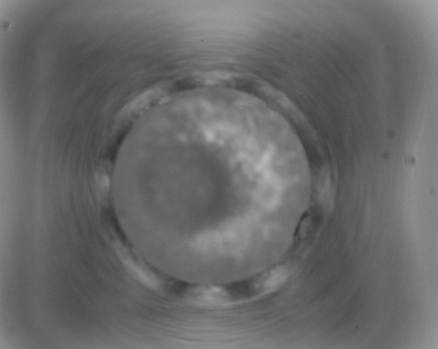 X0000083060427200702232026