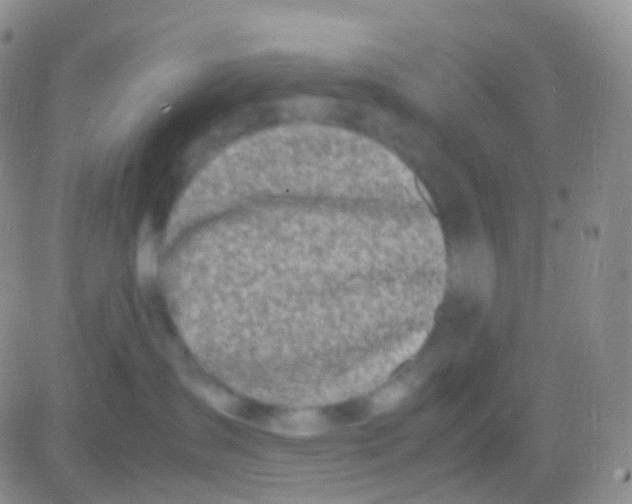 X0000083060431200702232026