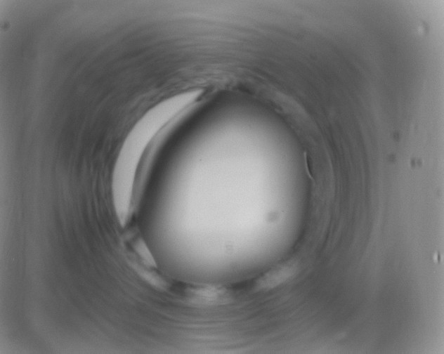 X0000083060432200702232026