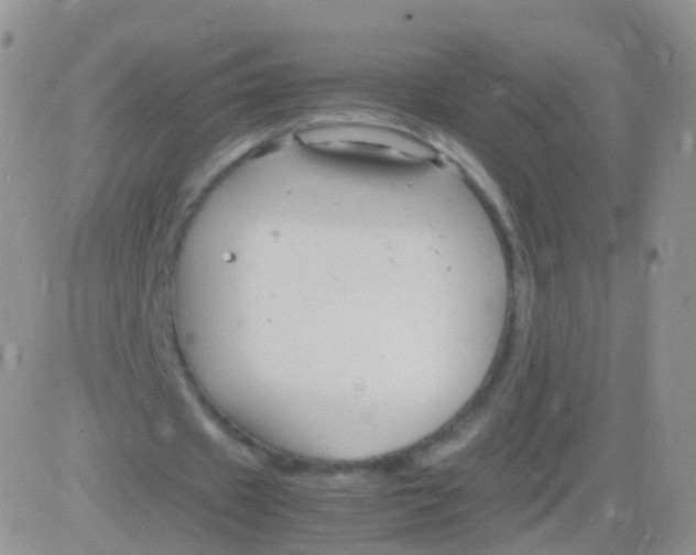 X0000083060433200702232025