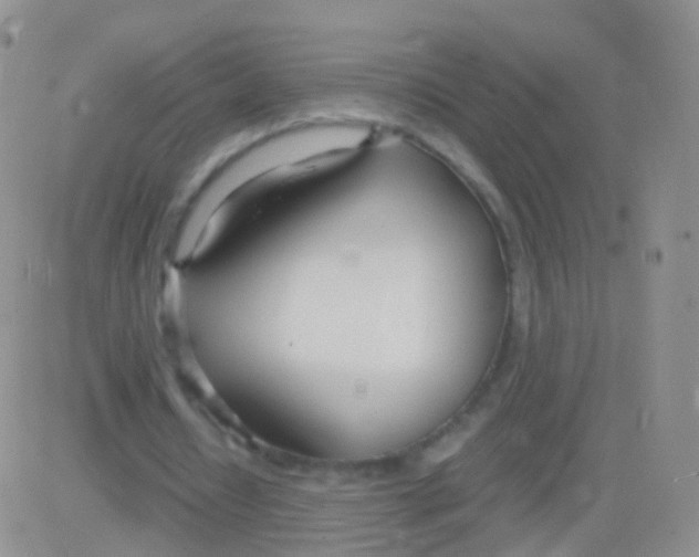 X0000083060434200702232025