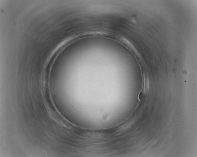 X0000083060435200702232025