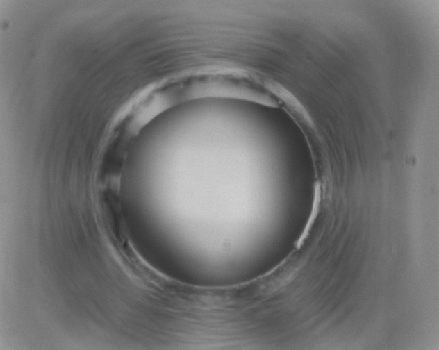 X0000083060436200702232025