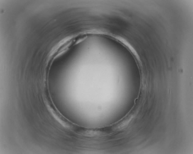 X0000083060437200702232025