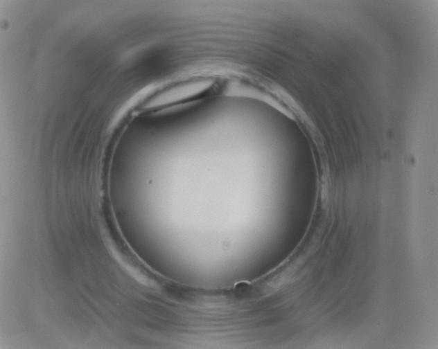 X0000083060438200702232025