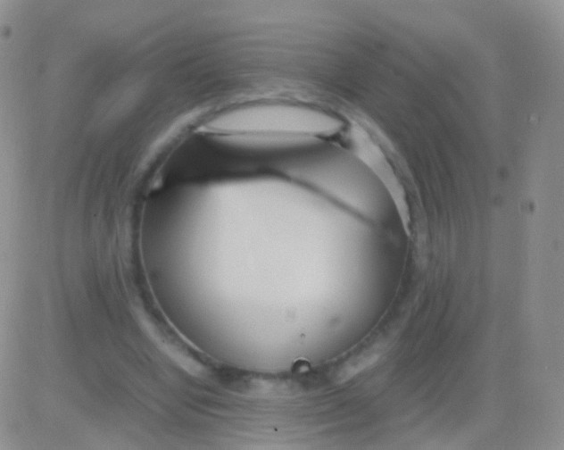 X0000083060442200702232025