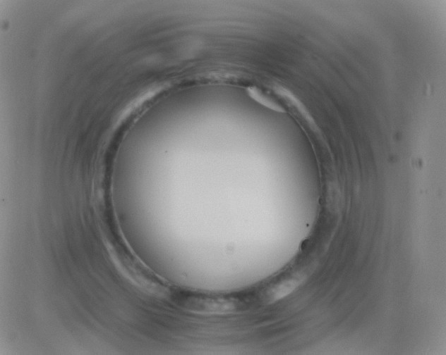 X0000083060443200702232025