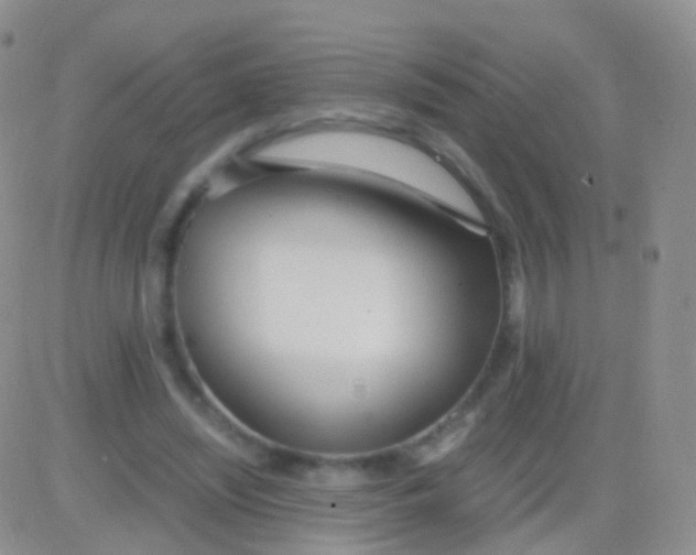 X0000083060444200702232025