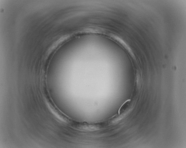 X0000083060445200702232025