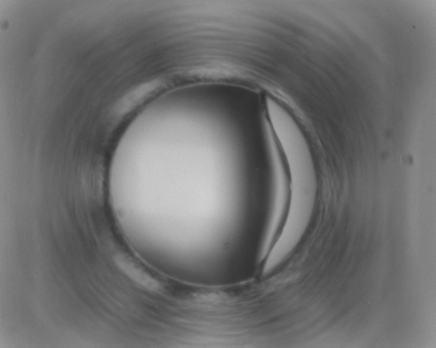 X0000083060446200702232025