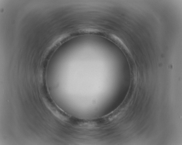 X0000083060447200702232025