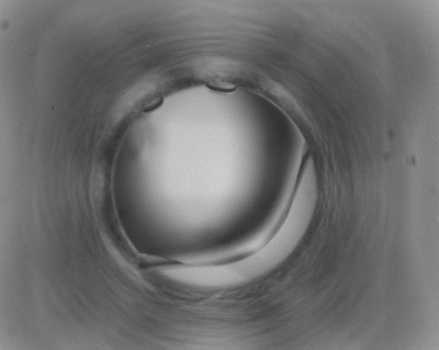 X0000083060448200702232025