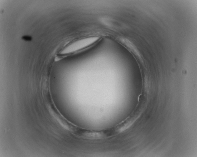 X0000083060449200702232025