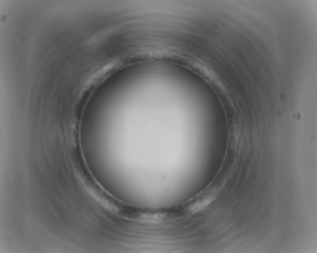 X0000083060450200702232025