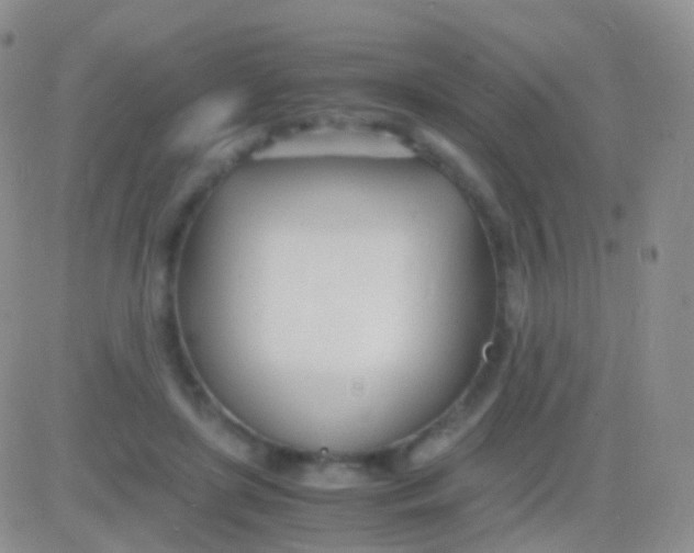 X0000083060451200702232025