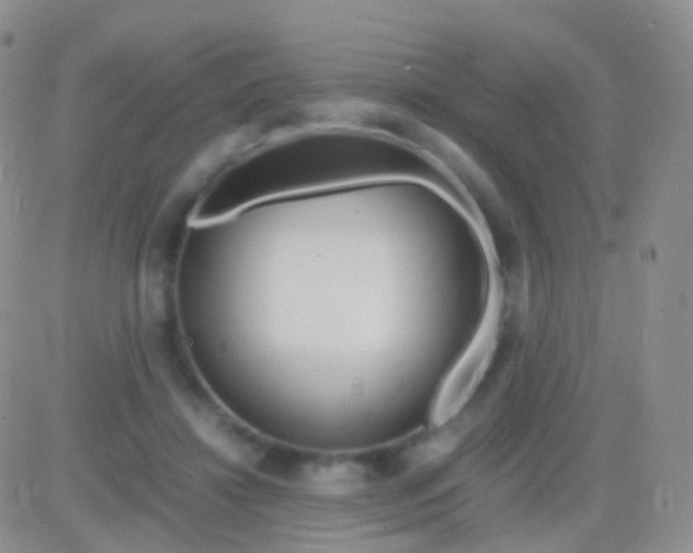 X0000083060452200702232025