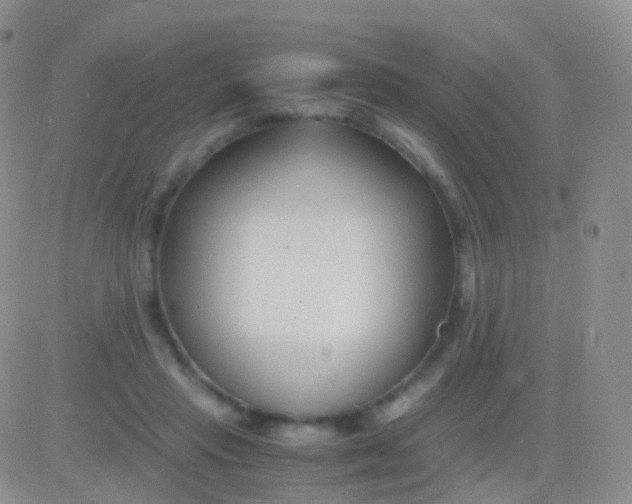 X0000083060453200702232025