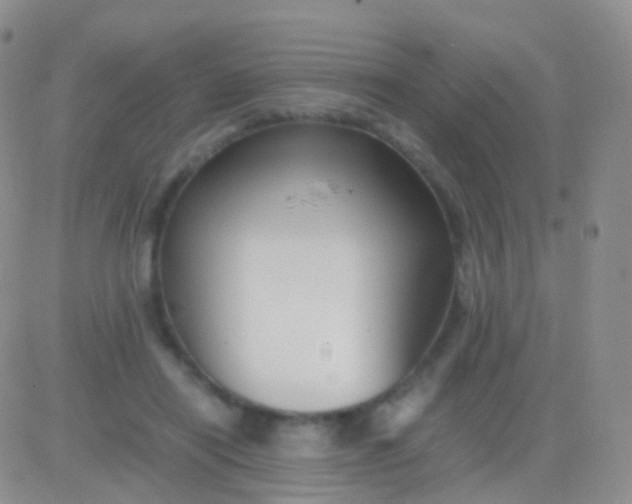 X0000083060454200702232025