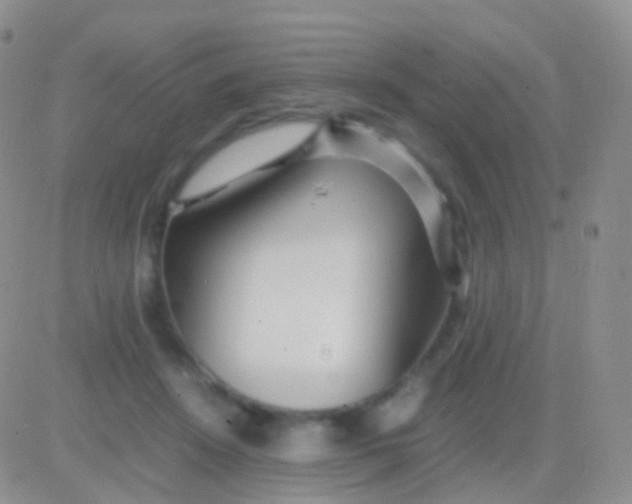 X0000083060456200702232025