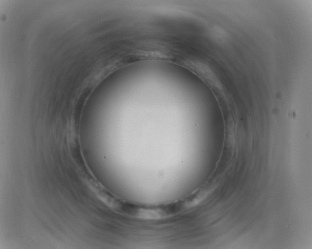 X0000083060457200702232025