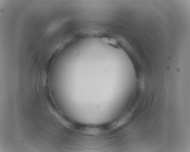 X0000083060458200702232025