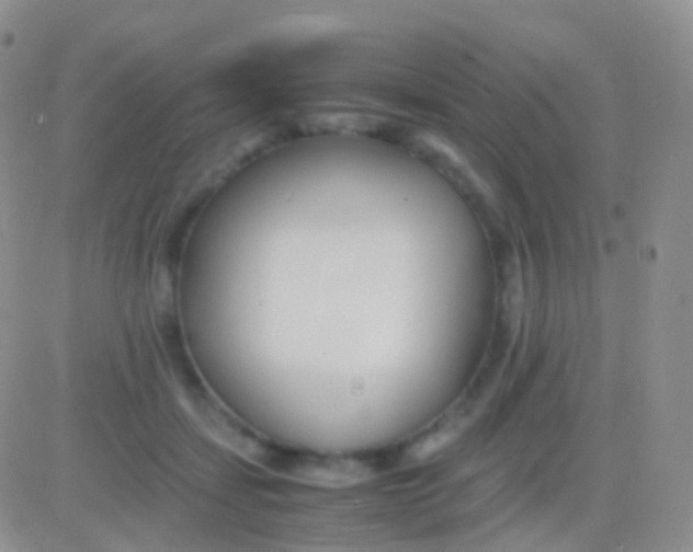 X0000083060459200702232025