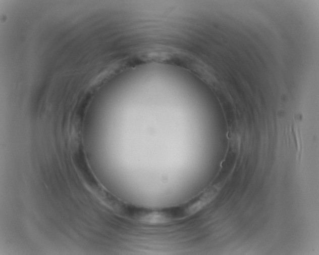 X0000083060460200702232025