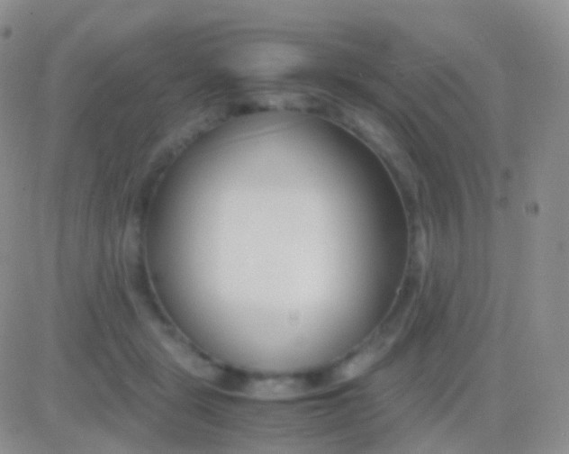 X0000083060461200702232025