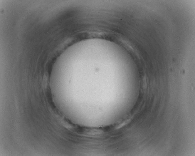 X0000083060463200702232026