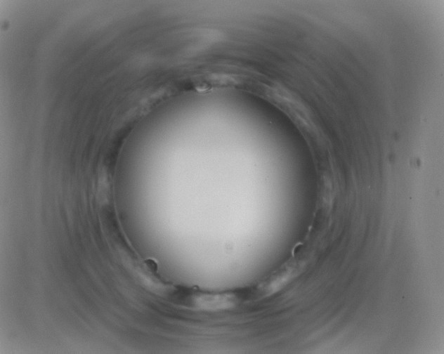 X0000083060465200702232026