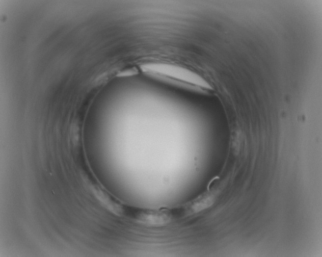 X0000083060466200702232026