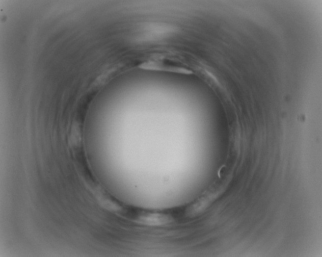 X0000083060467200702232026