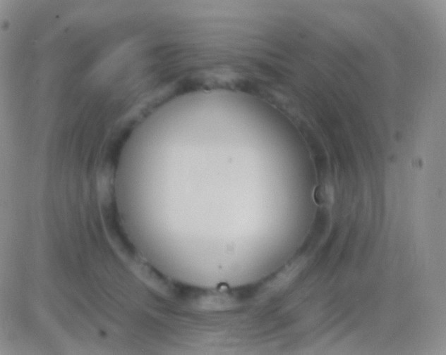 X0000083060468200702232026