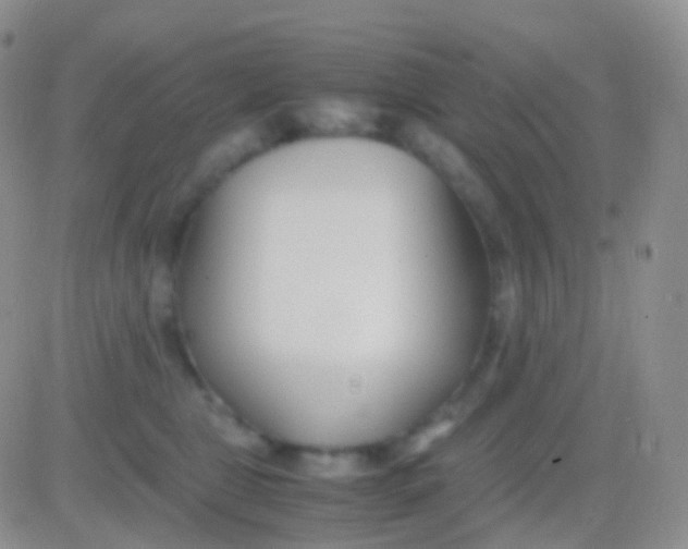 X0000083060469200702232026