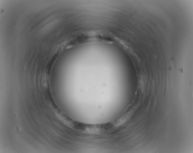 X0000083060470200702232026