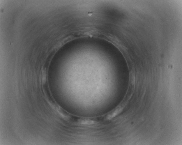 X0000083060471200702232026