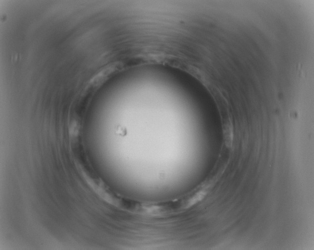 X0000083060472200702232026