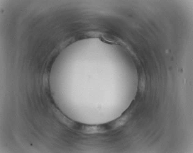 X0000083060473200702232026