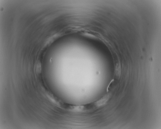 X0000083060474200702232026