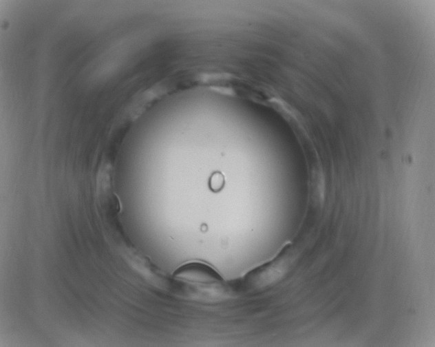 X0000083060475200702232026