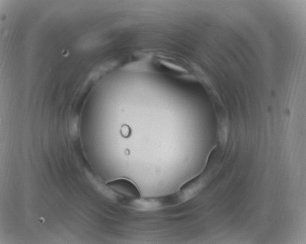 X0000083060477200702232026