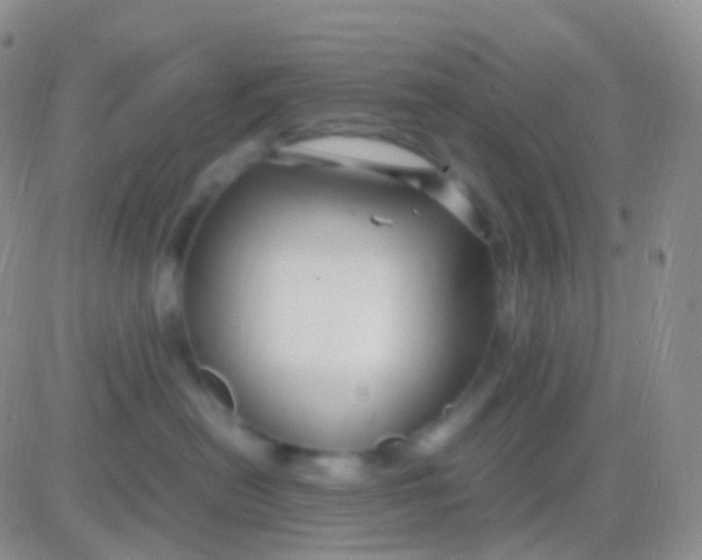 X0000083060478200702232026